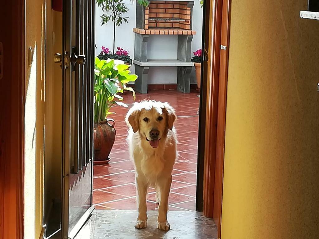La Herencia Casa di campagna